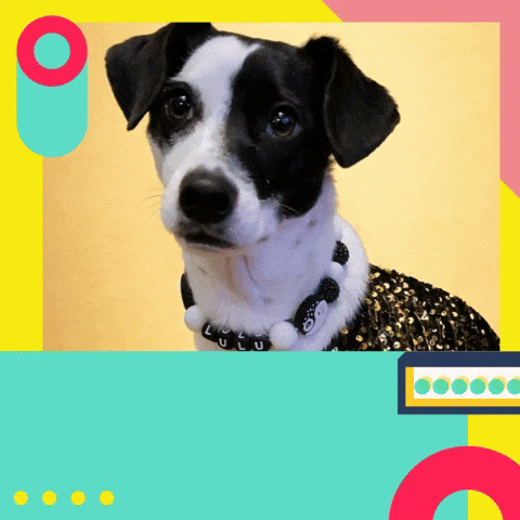 Happy Birthday Pawfect GIF