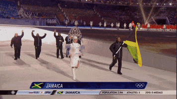 Winter Olympics GIF