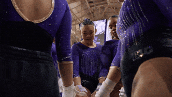 GIF by Washington Athletics