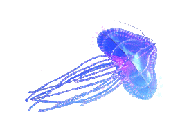 Under The Sea Fun Sticker by Dublin Zoo