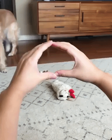 Cute Aww GIF - Find & Share on GIPHY