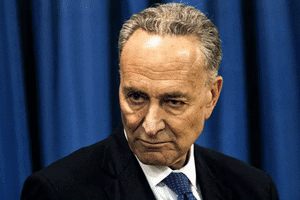 Chuck Schumer Politics GIF