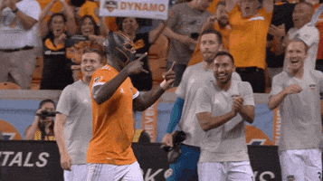 black panther swagger GIF by Houston Dynamo