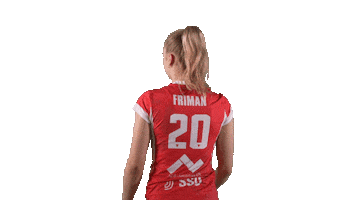 Sport Volleyball Sticker by LP Viesti