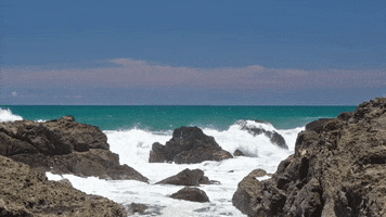Costa Rica Waves GIF by Chris