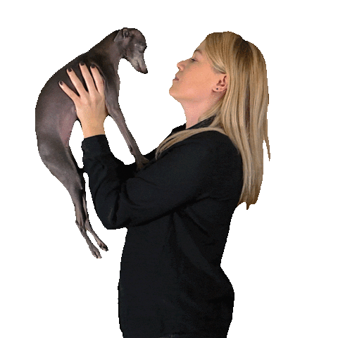 Mayazana Sticker by maymor.tv