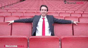 unai emery thumbs up GIF by Arsenal