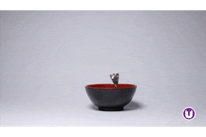 Stop Motion Cooking GIF by School of Computing, Engineering and Digital Technologies