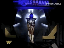 Wrestlemania X Wrestling GIF by WWE