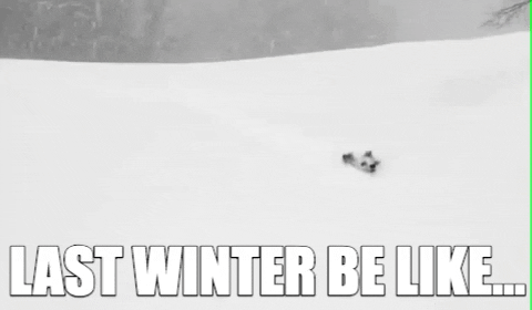 Too Much Snow Gifs Get The Best Gif On Giphy