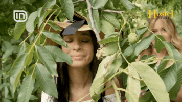 Albania Anabelhostel GIF