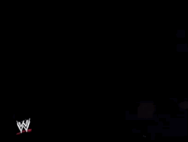 wrestlemania xiv wrestling GIF by WWE