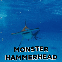 Hammerhead Anime GIF - Hammerhead Anime 1080p - Discover & Share GIFs