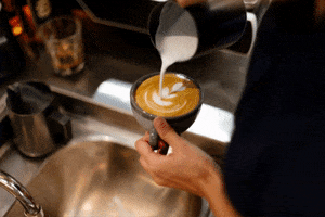 GIF by Sheraton Grand Mirage Resort, Gold Coast