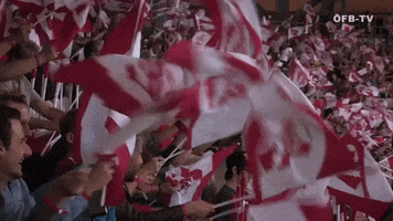 national team fans GIF