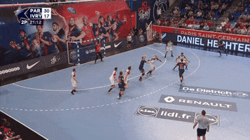 jumping kung-fu GIF by Paris Saint-Germain Handball