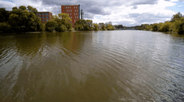 200.gif?cid=fc005b08518d8a2f1509ef6e480547da7974f653c580671a&rid=200.gif&ct=g