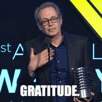Celebrity gif. On stage accepting an award, Steve Buscemi claps his hand to his chest and says, "Gratitude," which appears as text, into the microphone.
