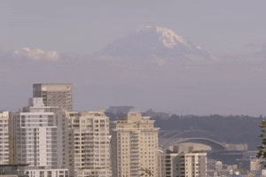 Washington State GIF by 50statesproject