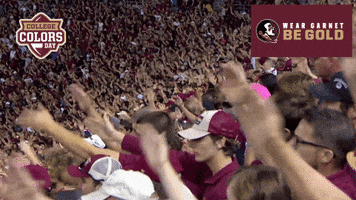 College Sports Gameday GIF by College Colors Day