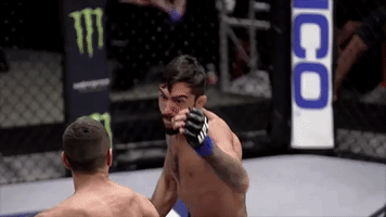 punch fighter GIF by UFC