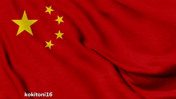 China Loop GIF