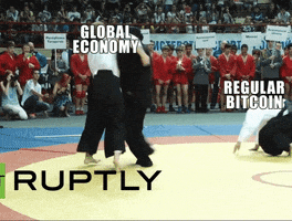 bitcoin segal GIF by Barstool Sports