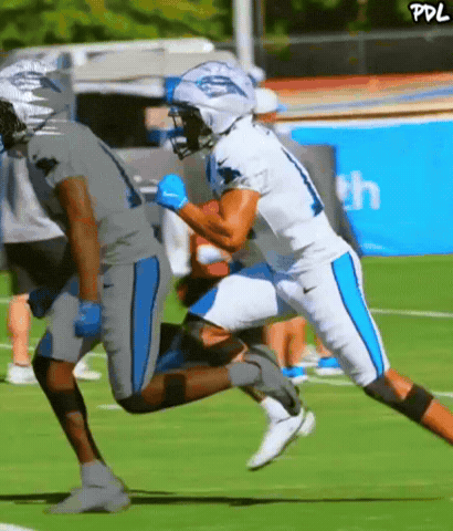 Panthers Jalen GIF by The Undroppables