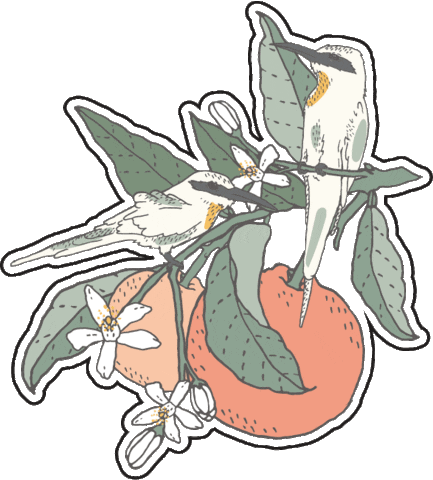 Spring Birds Sticker by YOOLETTA