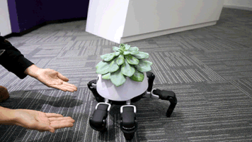 Robot Pot GIF
