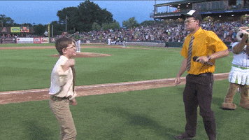 the office dwight GIF by Kane County Cougars