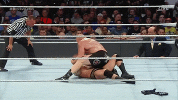 richjmoney wwe randy orton brock lesnar summerslam GIF