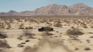 Cheech And Chong Smoke GIF by Cheech & Chong’s Last Movie