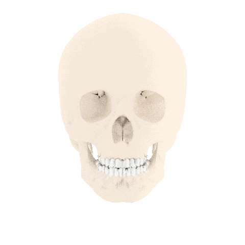 michaelbaur lil pdf Sticker