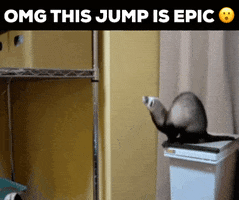 Wait For It GIF