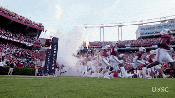 College Football Entrance GIF by University of South Carolina