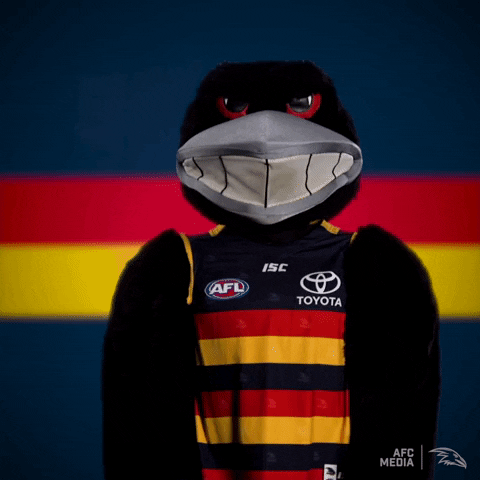afl shrug GIF by Adelaide Crows