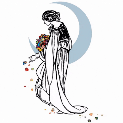 Moonshadow Festival GIF