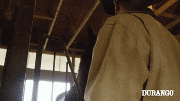 Horse Country GIF by DurangoBoots