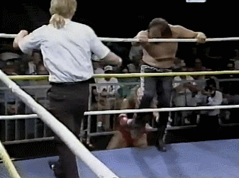 Wwe GIF