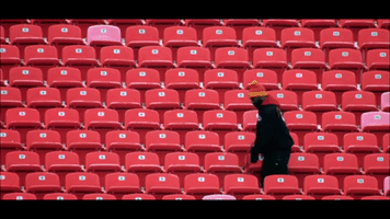 orange-belgium  GIF