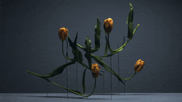 Time Lapse Film GIF by AnOther