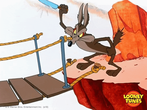 Wile E Coyote GIFs - Get the best GIF on GIPHY