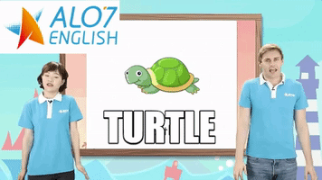 turtle alo7 english GIF by ALO7.com