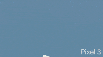 Party Love GIF by Google