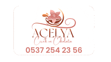 Açelya Çiçek Sticker by acelyacicek