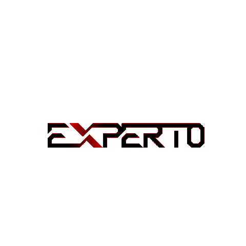 experto engineering Sticker