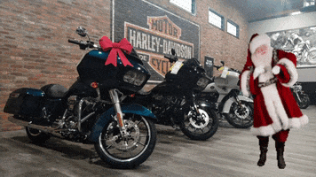 GIF by Calgary Harley-Davidson