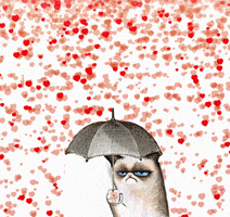 Digital art gif. Grumpy cat holds an umbrella open with its quintessential grumpy frown on its face as red hearts ran down on it. Its umbrella allows it to avoid all the hearts.