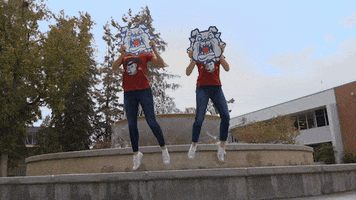 Jumping Central Valley GIF by Fresno State
